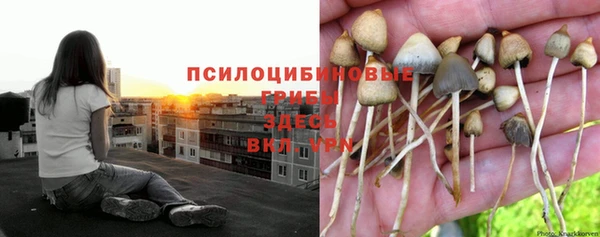 наркотики Семилуки
