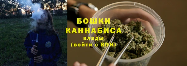 apvp Семёнов