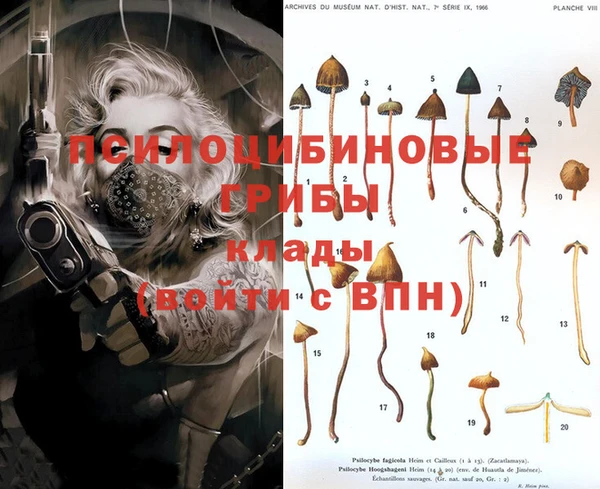 apvp Семёнов
