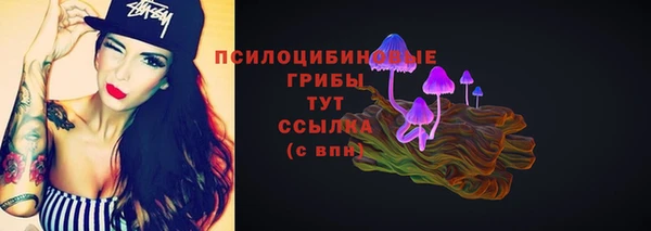 крисы Семикаракорск