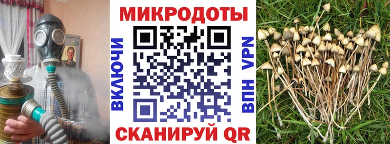 Галлюциногенные грибы Psilocybe  Купить  Чердынь 
